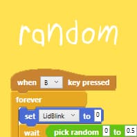 Random