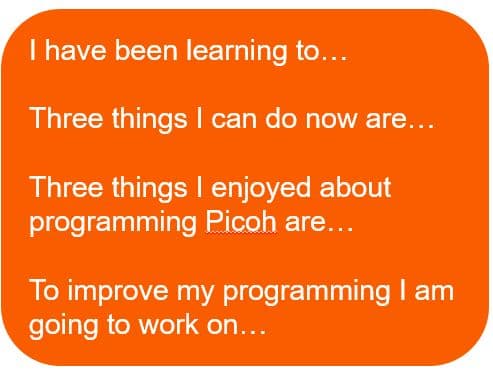 Picoh project evaluation feedback sheet