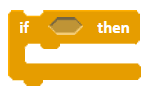 The if-then conditional instruction