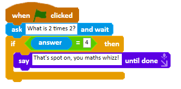 Quiz code using an if-then conditional